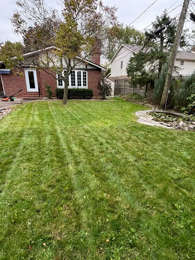 fall clean up/ lawn care