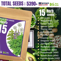 Culinary Herb Seed For Planting