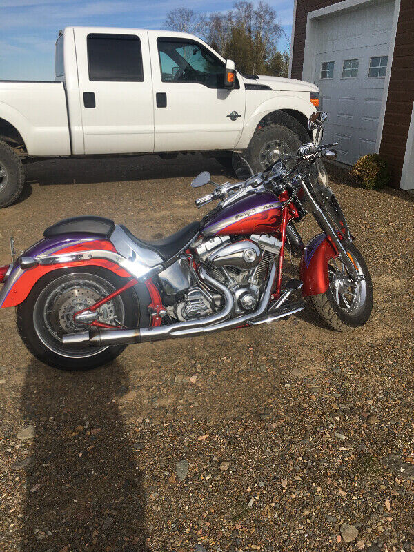 2006 fat boy screaming eagle for sale or trade in Street, Cruisers & Choppers in Bathurst - Image 3