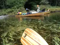 Business For Sale by Owner  -  Canoe, Kayak & SUP Rentals