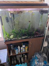 35 gallon tall aquarium with accessories 