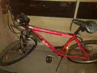 Tim Horton Bicycle $150
