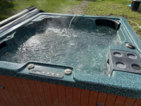 Hot tub for sale