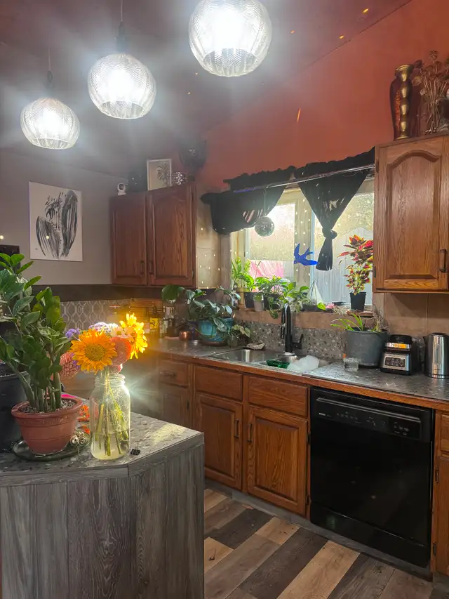 $1,250 / 1br -  SLOCAN STUDIO SUITE — FENCED YARD