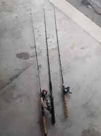 3 fishing rods (2 spinning 1 baitcaster)
