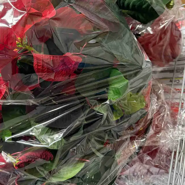 upper beaches, anr?64683916306305120