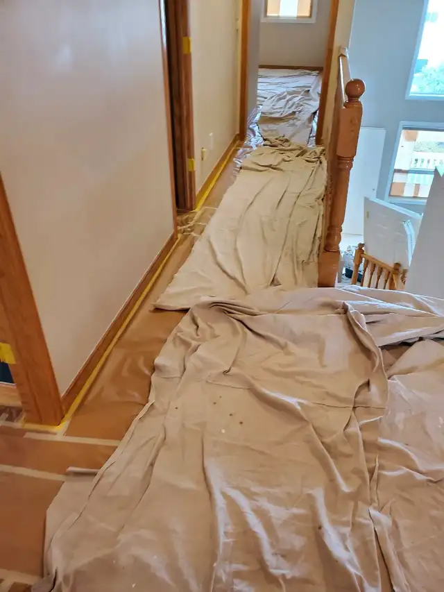 Professional Painter For High Quality Jobs $0 Deposit62863723770753124