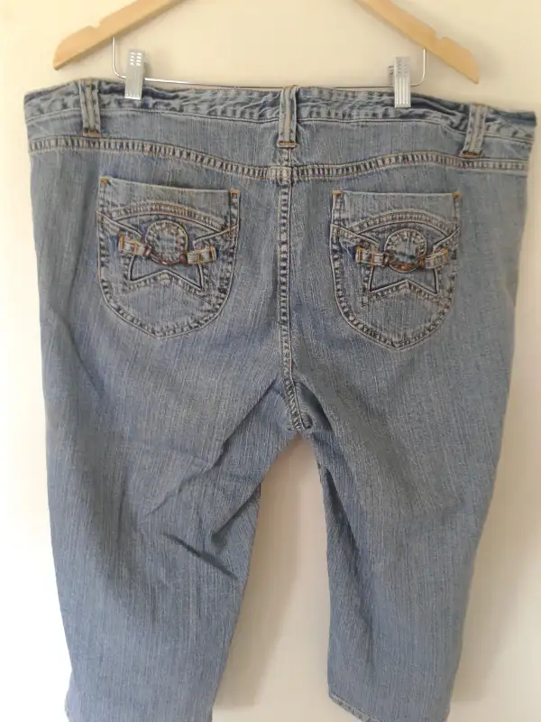 Ladies Shorts 2 (20W) & Plus 18W in Women's - Bottoms in Annapolis Valley - Image 5