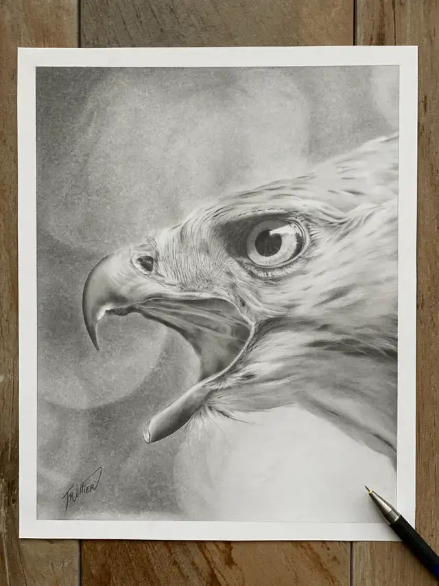 Cours de dessin réaliste au graphite (Privé) in Classes & Lessons in West Island - Image 9