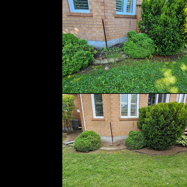 Gardening - Overgrowth Removal - Mulching - Trimming & More in Other in St. Catharines - Image 9