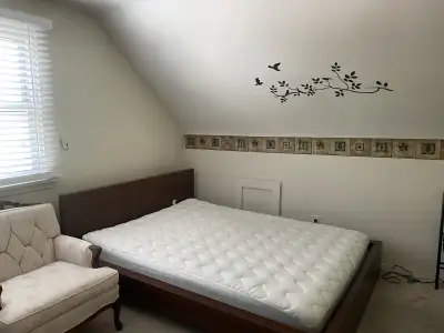 Looking for Female professional/student -Available immediately, located Kennedy/Lawerence , Scarboro...