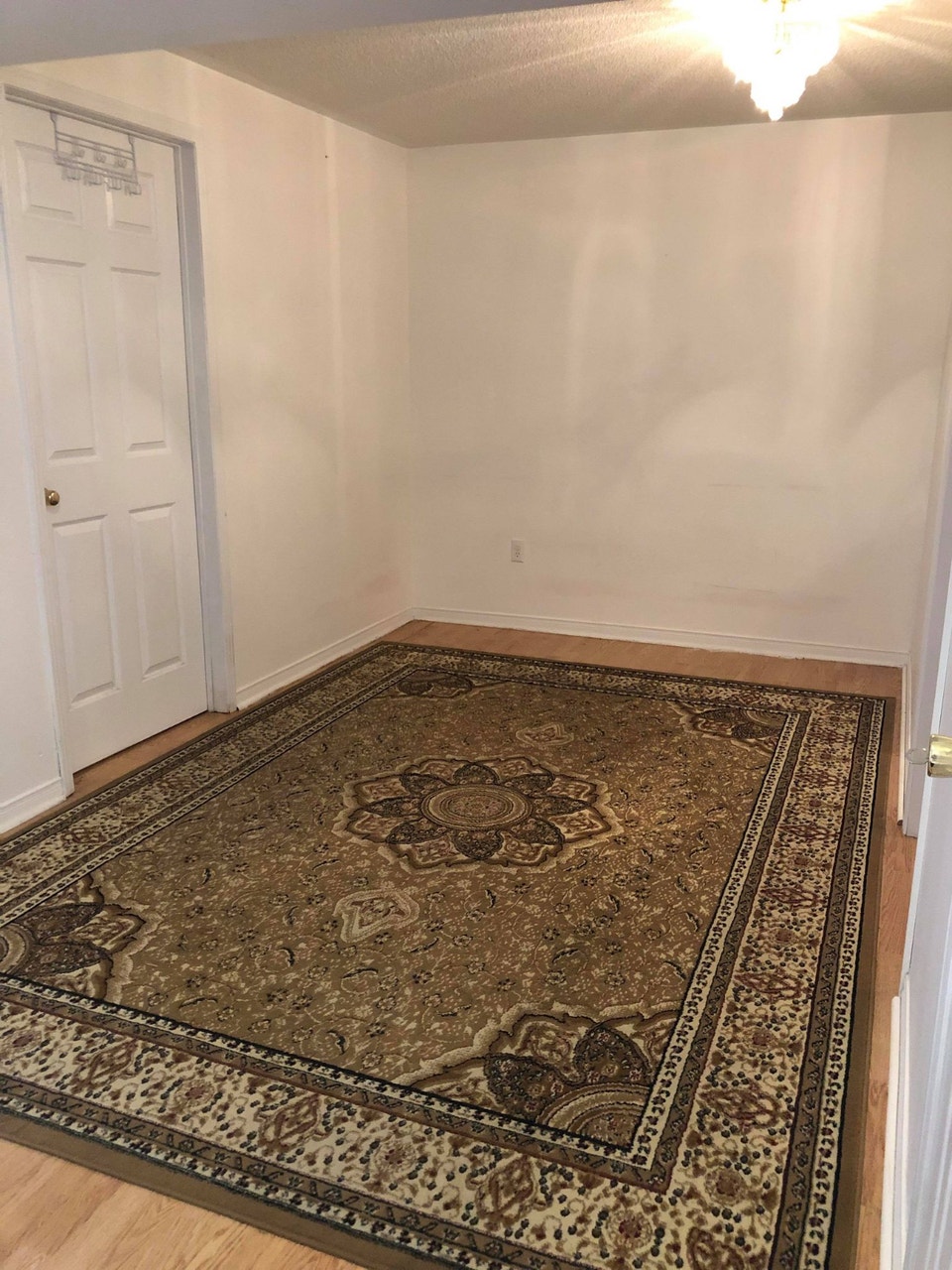 One bedroom bachelor suite for rent! 2