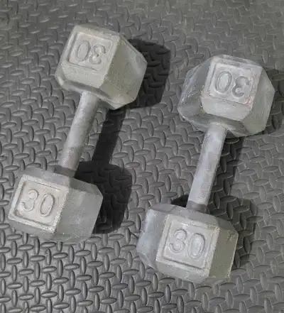 En Bonne condition en Métal 2 x 30LB