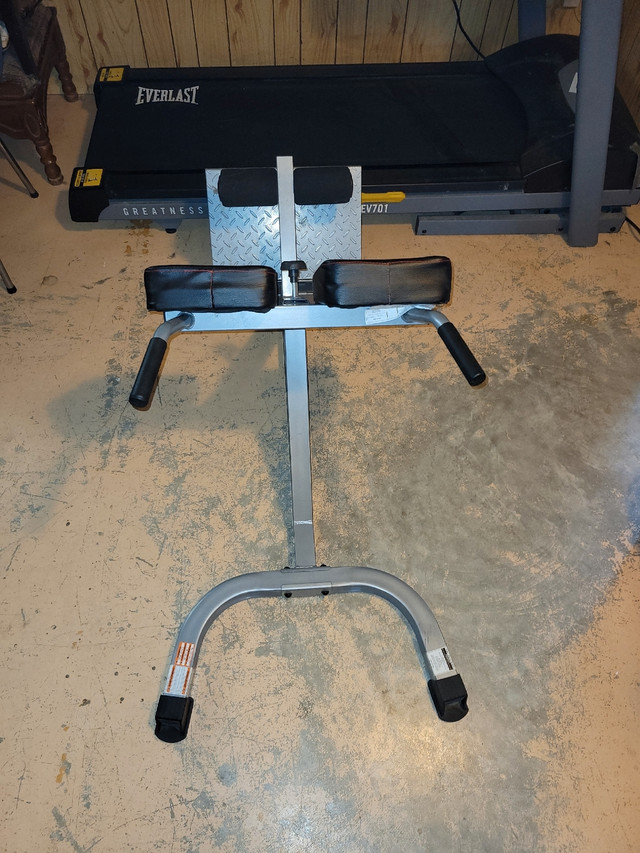 Back Hyperextension Bench in Exercise Equipment in Hamilton - Image 2
