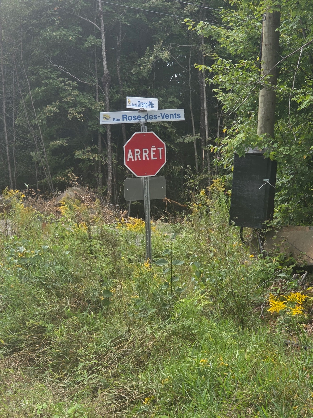 2 terrains résidentiels,fermettes ou chalet à vendre — photo 3