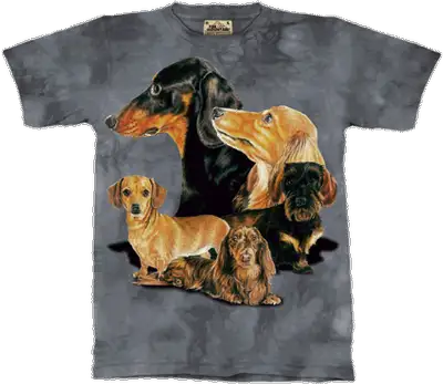 Dachshund t-shirt, tee-shirt, Dachie t-shirt, View more