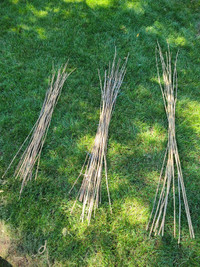 BAMBOO GARDEN STAKES FOR SALE