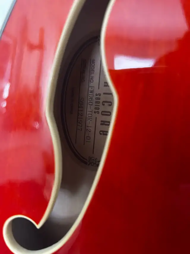 Ibanez Artcore Semi Hollow FWD60 in Guitars in Hamilton - Image 5