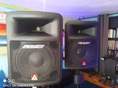 peavy 10 inch speakers 800 max / pair , View more