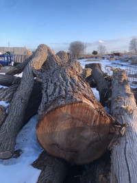 Logs Reclaimed