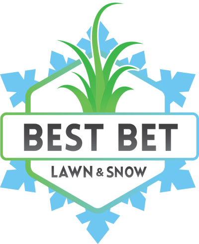 Snow removal services, View more