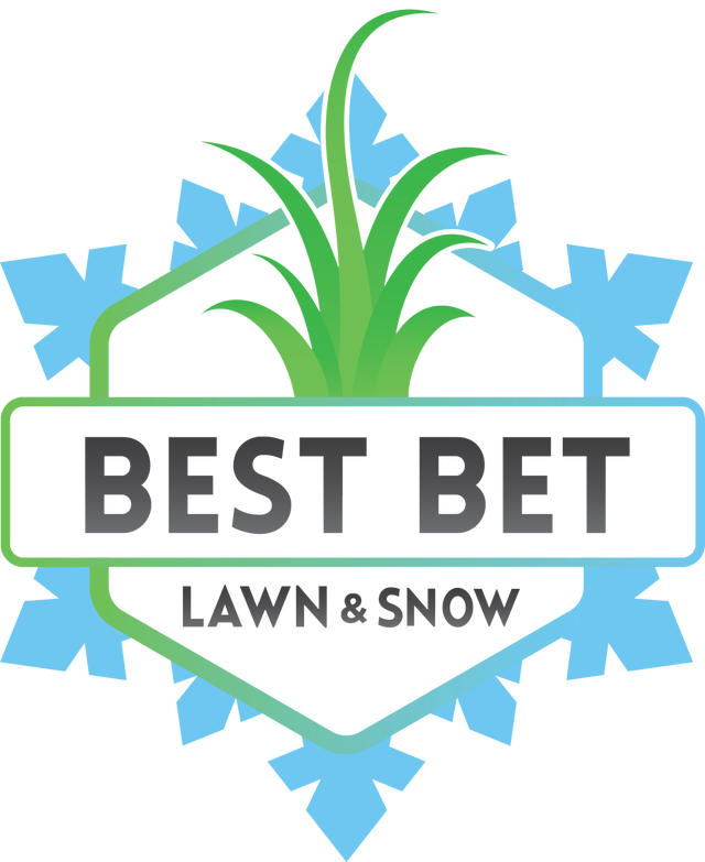 Snow removal services64346708431619120