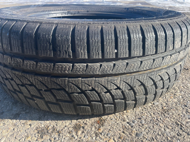 One Nokian wr suv tire 255/65r18 in Tires & Rims in Calgary - Image 3