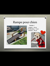 Rampe pour animaux