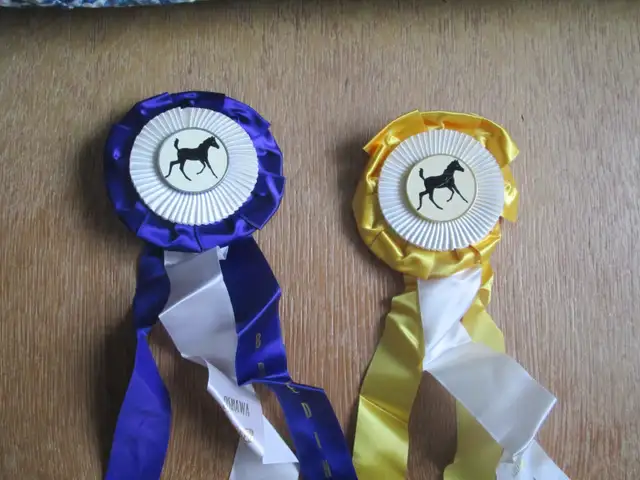 2 small horse show ribbons with foal design.