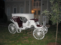 Carriage- horse drawn