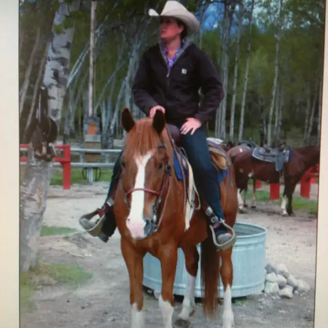 Equine/Farm Hand in Animal & Pet Services in Strathcona County - Image 3