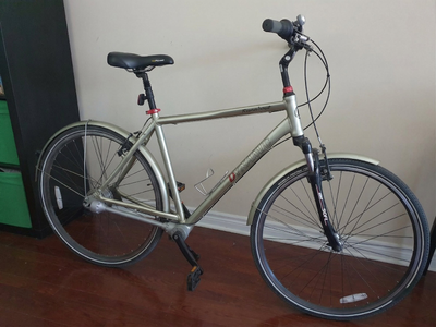 Dynamic Runabout 8 Hybrid Bicycle - Chainless Internal Hub Bike, View more
