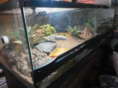 40 gallon ZooMed reptile tank, View more