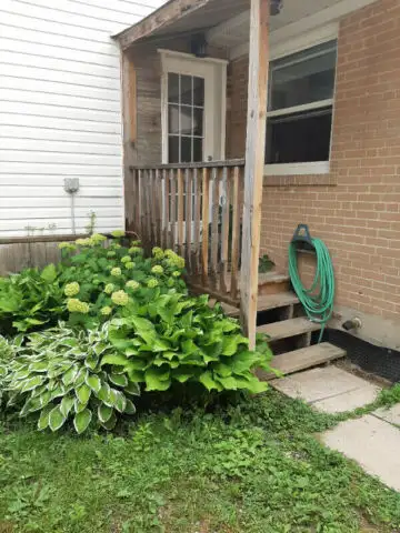 Quiet and Peaceful neighborhood... Private Entrance, Location Location Location Recently renovated &...
