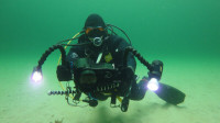 Freelance Underwater Videographer