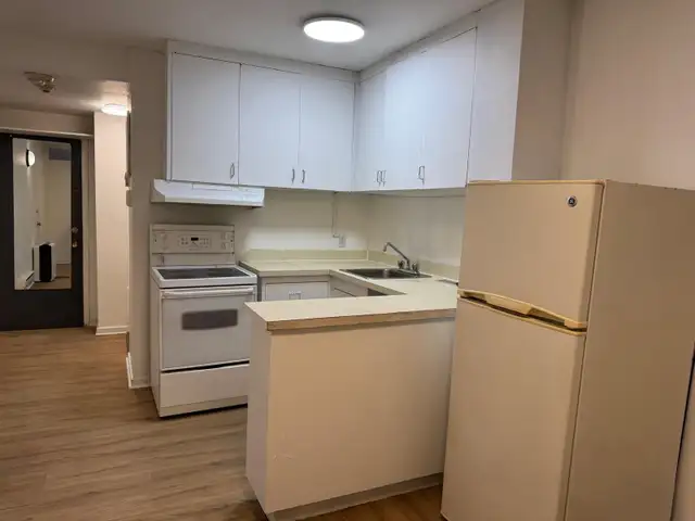 Appartement 3 ½ entièrement rénové