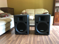 A pair of stage speakers 
