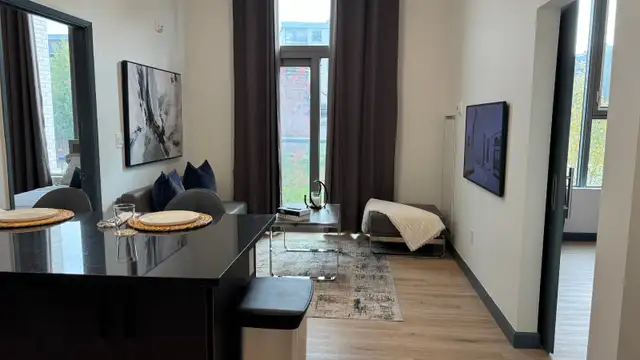 298 Hemlock St Waterloo - Leasing for August 2026 in Long Term Rentals in Kitchener / Waterloo - Image 4