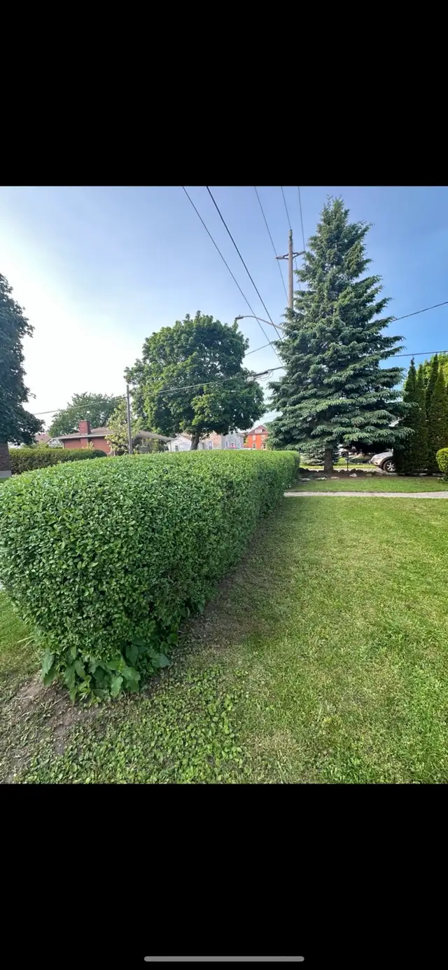 Lawn Care • Grass Cutting • Yard Clean Up • Garden Maintenance