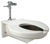 NEW 1000 # Bariatric Flushometer Toilet wall mount was $8000 USD