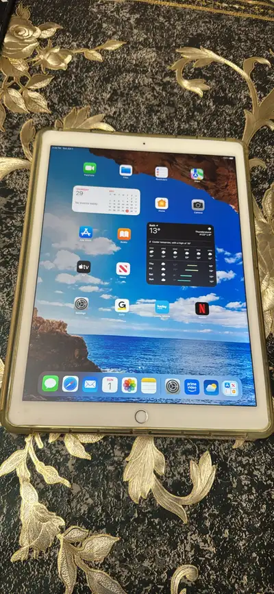 iPad Pro for sale, View more
