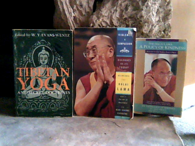 BOOKS-James Dean/Alcatraz/Gandhi/Dalai Lama+OTHERS in Other in Burnaby/New Westminster - Image 2