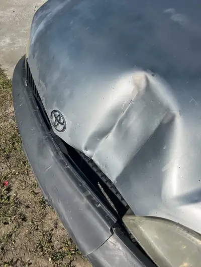 I want hood for Toyota Echo 2002. (2 DR)