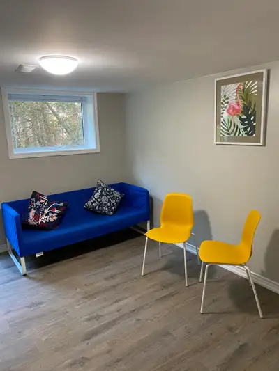 Newly Renovated** Walkout Basement Apartment ** Studio Basement *** Plenty of Sunlight **Excellent L...