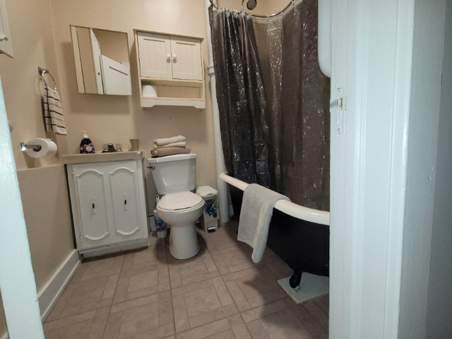 Furnished Apartment for rent. in Long Term Rentals in Timmins - Image 3