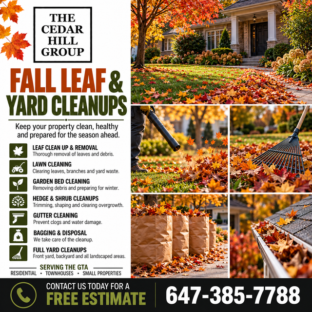 Fall Leaf & Yard Cleanups