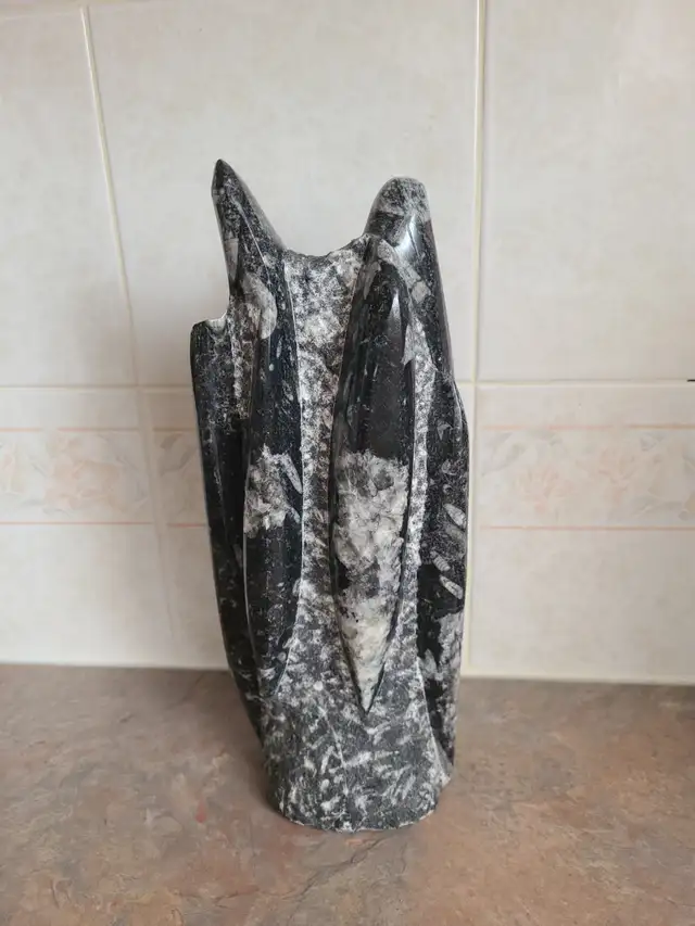 Polished orthoceras fossil tower in Hobbies & Crafts in Strathcona County - Image 2