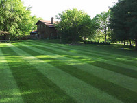 PROFESSIONAL LAWN ROLLING starting at only $125