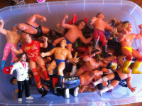 WANTED LJN WWF WWE wrestlers / figures $$$$$$ CASH