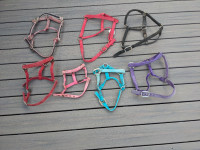 Horse Tack, Used Halters